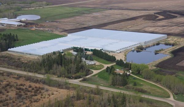 Doef's Greenhouses Arial View