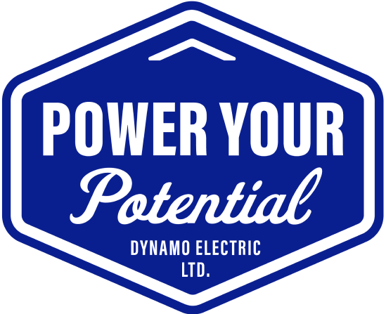 Dynamo - Power your potential