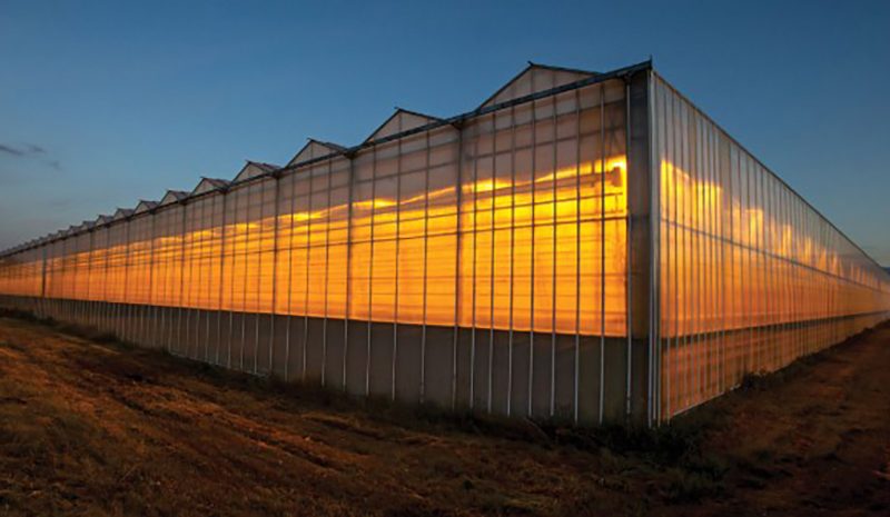 Doefs Greenhouses